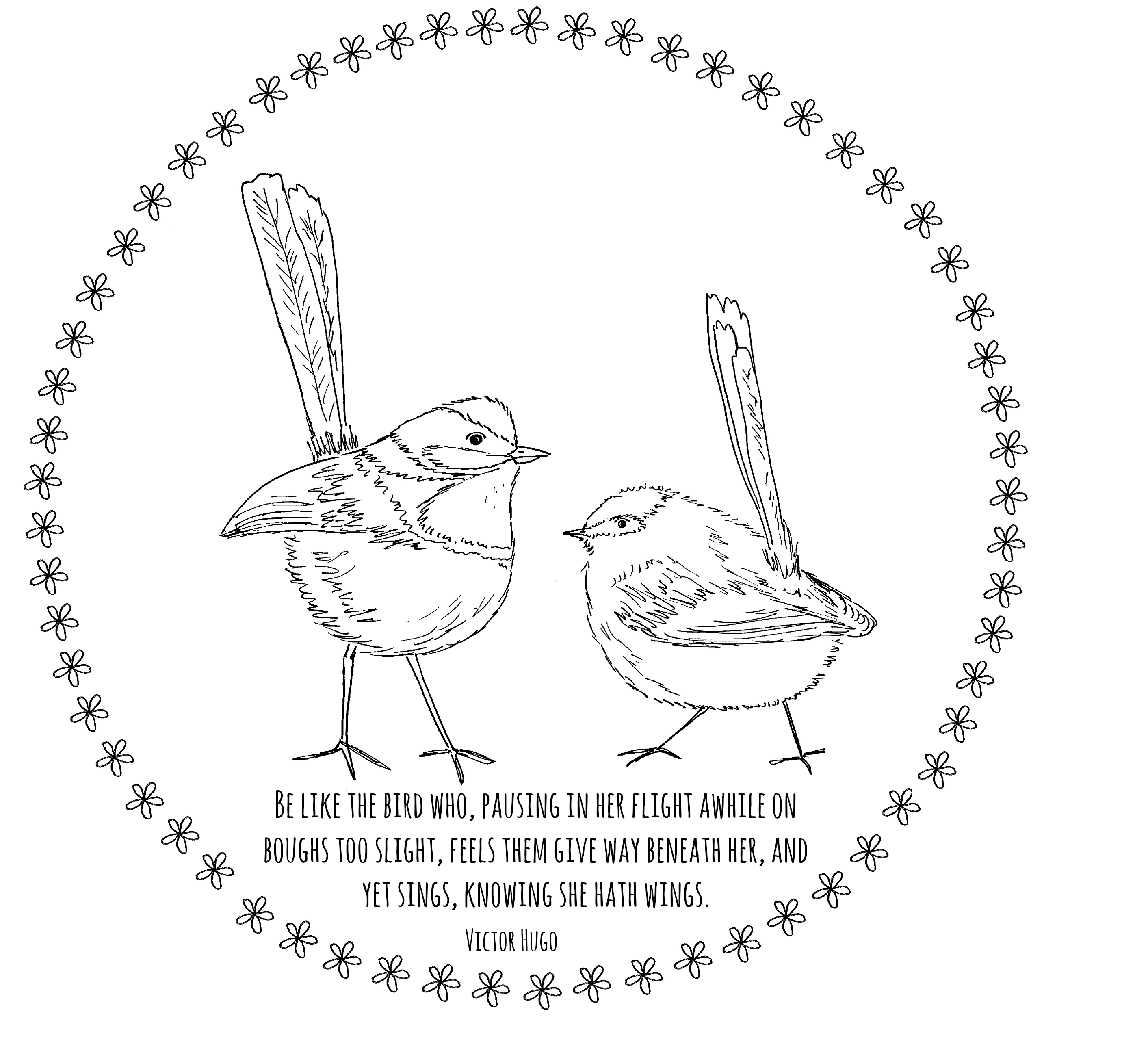Bird Embroidery Pattern Free Embroidery Pattern Wrens The Lavender Wrens Parlour
