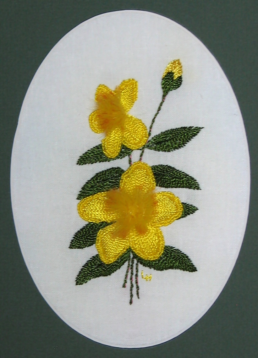 Brazilian Embroidery Patterns Brazilian Embroidery Designs