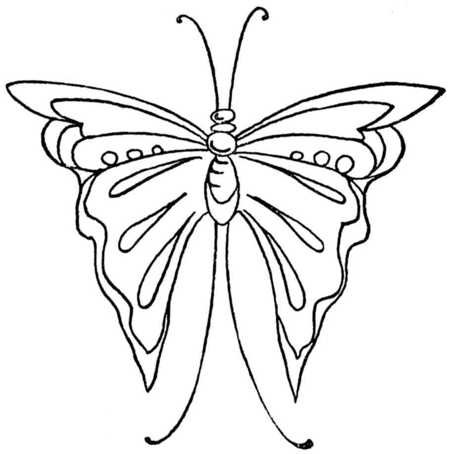 Butterfly Embroidery Pattern Butterfly Embroidery Patterns 1914 Q Is For Quilter