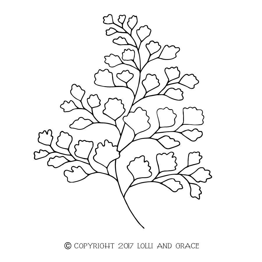 Embroidery Patterns Free Free Embroidery Pattern Maidenhair Fern Lolli And Grace