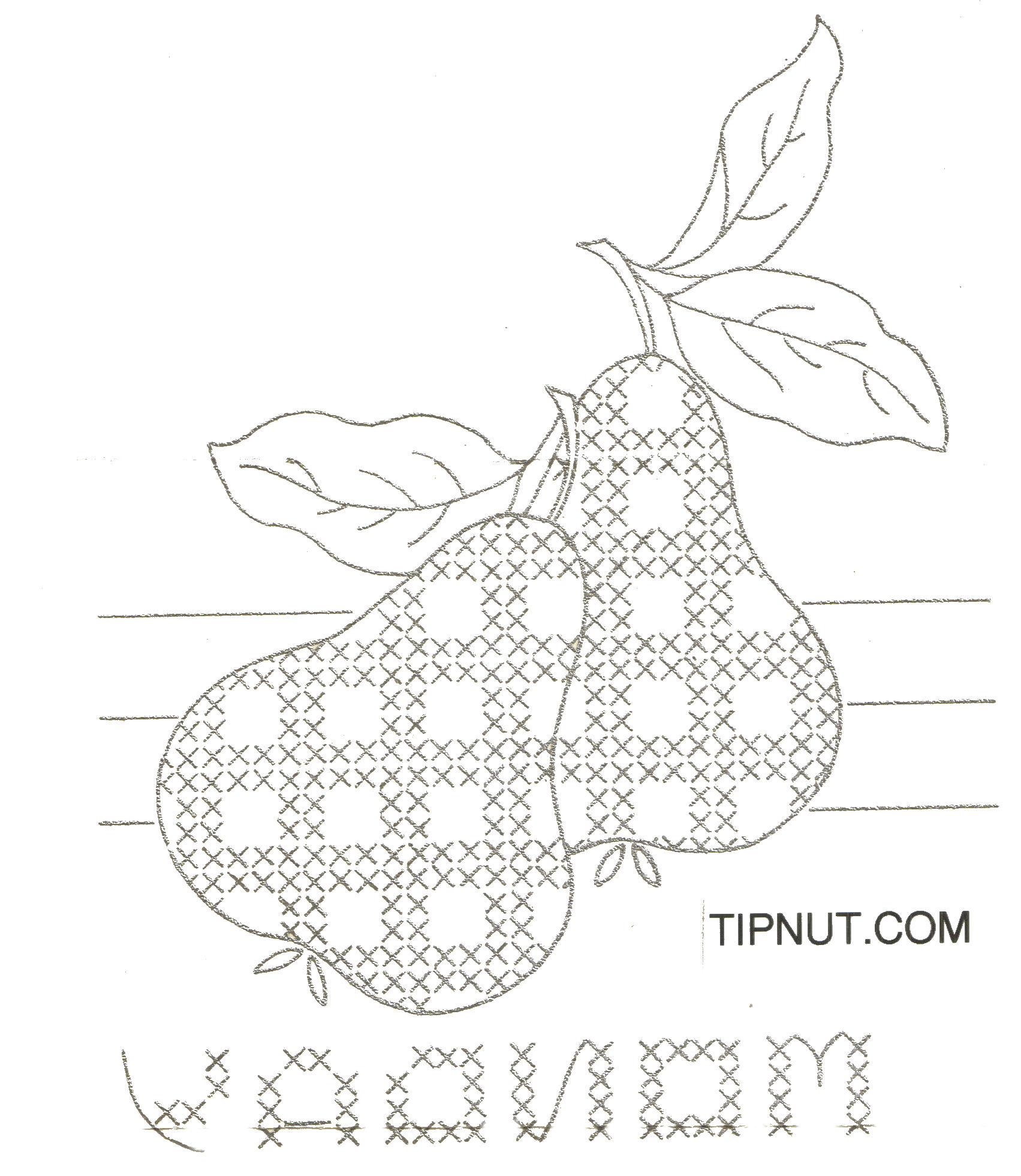 Gingham Embroidery Patterns Machine Embroidery Talks Gingham Fruit Cross Stitch Embroidery