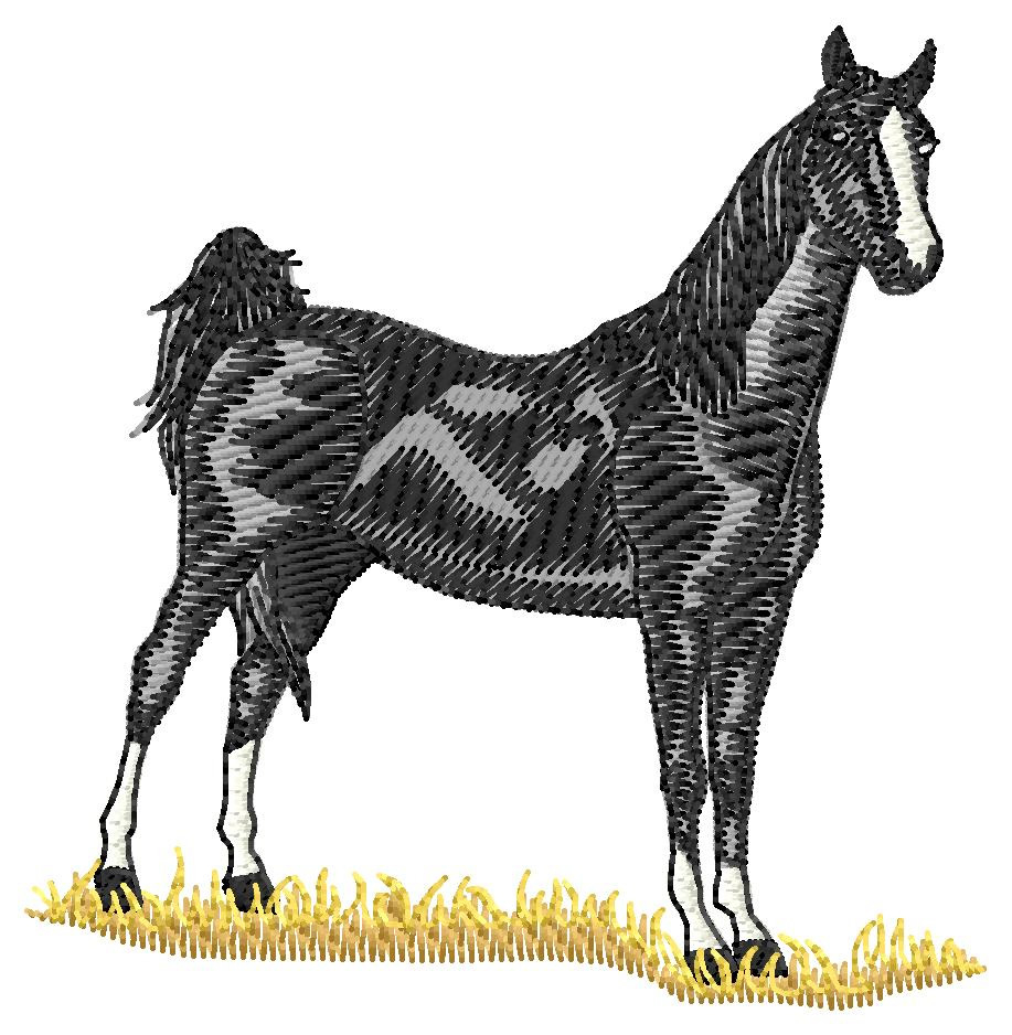Horse Embroidery Patterns American Saddle Horse Embroidery Design