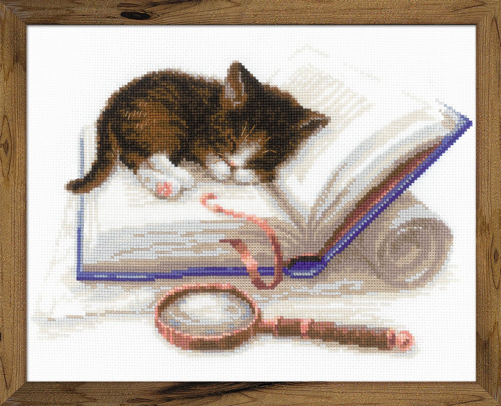 Kitten Embroidery Patterns Kitten On A Book Cross Stitch Kit Sewandso