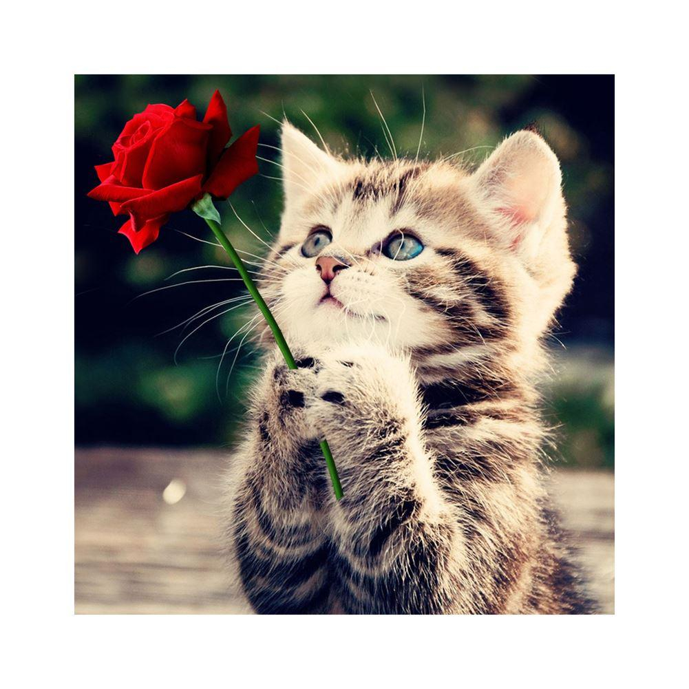 Kitten Embroidery Patterns Needlework Red Rose And Cat 5d Diamond Embroidery Painting Animals Square Patterns Rhinestone Canvas Cross Stitch Art Home Decor