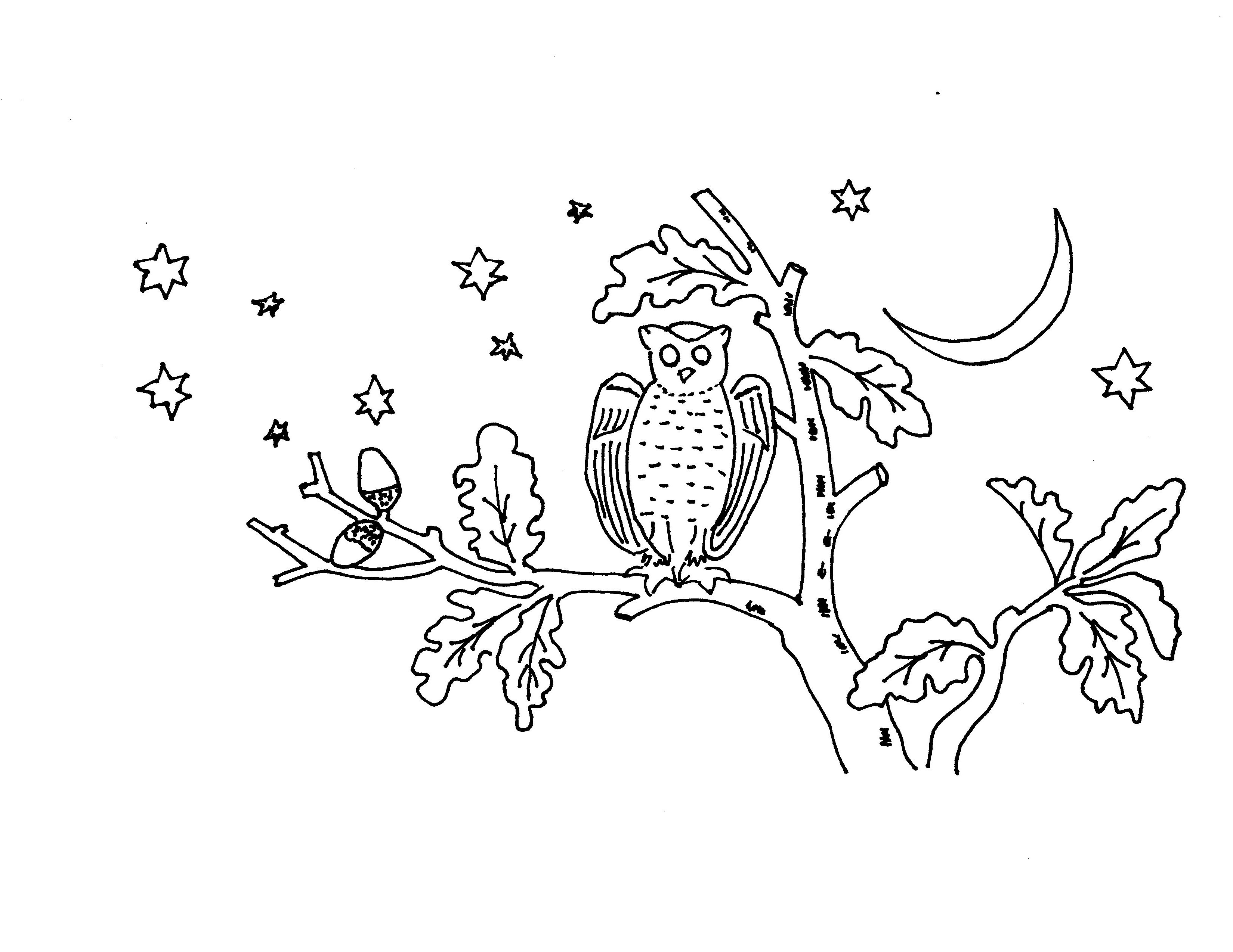 Owl Embroidery Pattern Free Evening Owl Embroidery Design Or Coloring Page Vintage Crafts