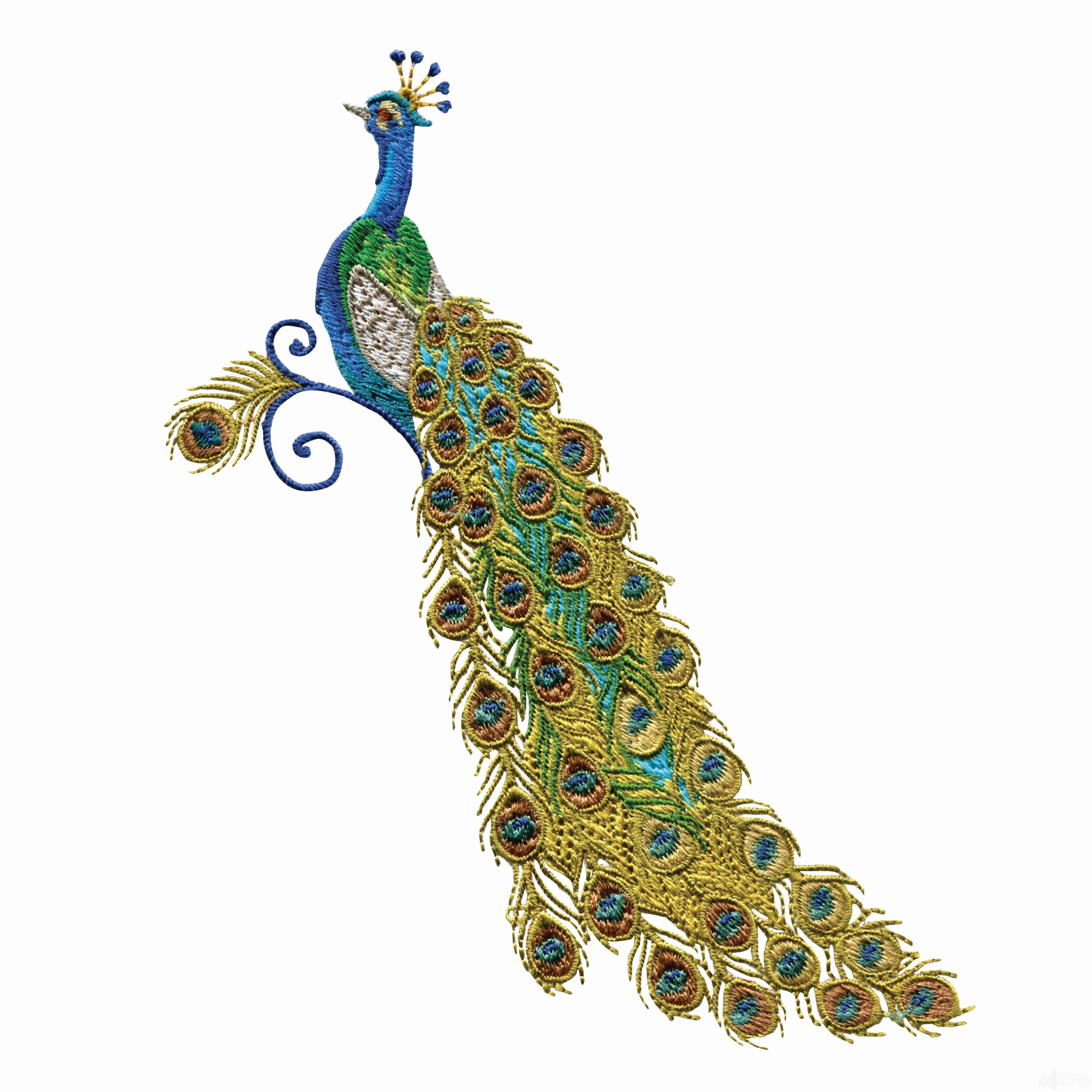 Peacock Embroidery Patterns 15 Best Photos Of Peacock Embroidery Patterns Peacock Embroidery