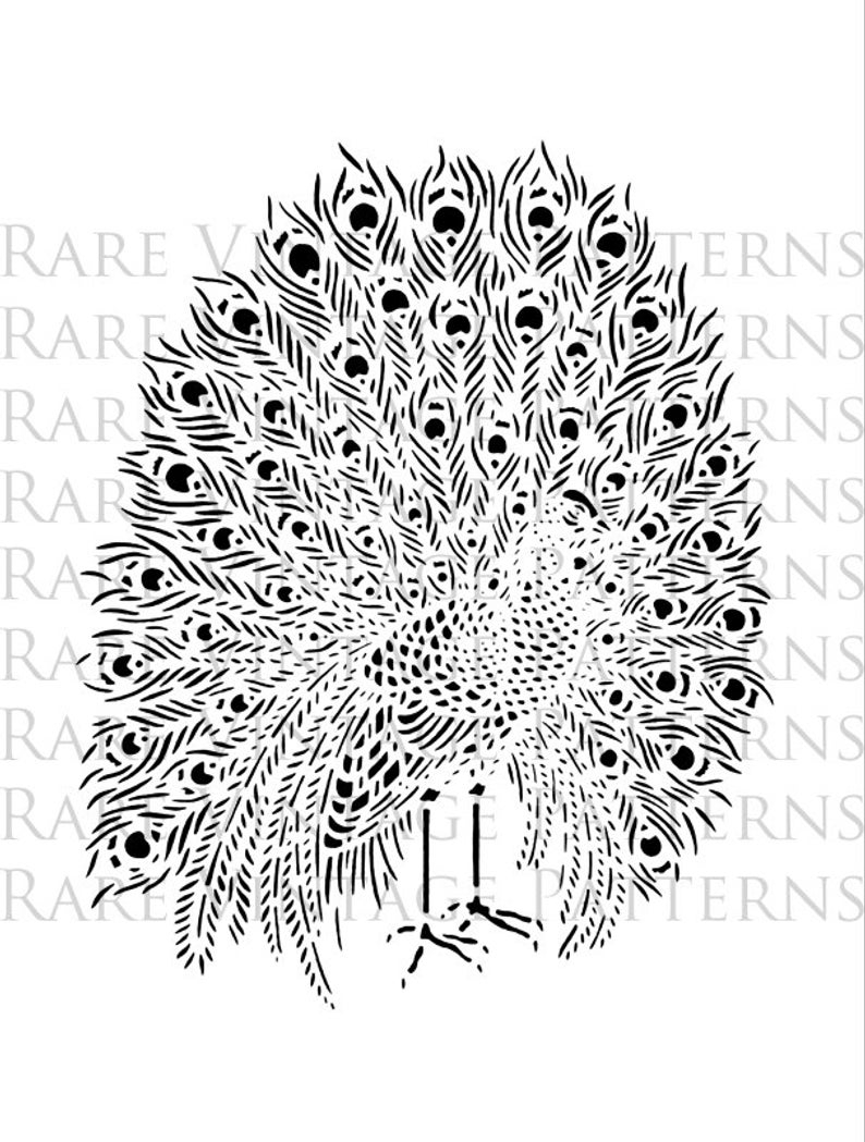 Peacock Embroidery Patterns Large A4 Peacock 1 Embroidery Stencil 2 X Files Jpg Png Transparent Images Clip Art Scrapbooking Printable 300dpi 85x11 Instant Download