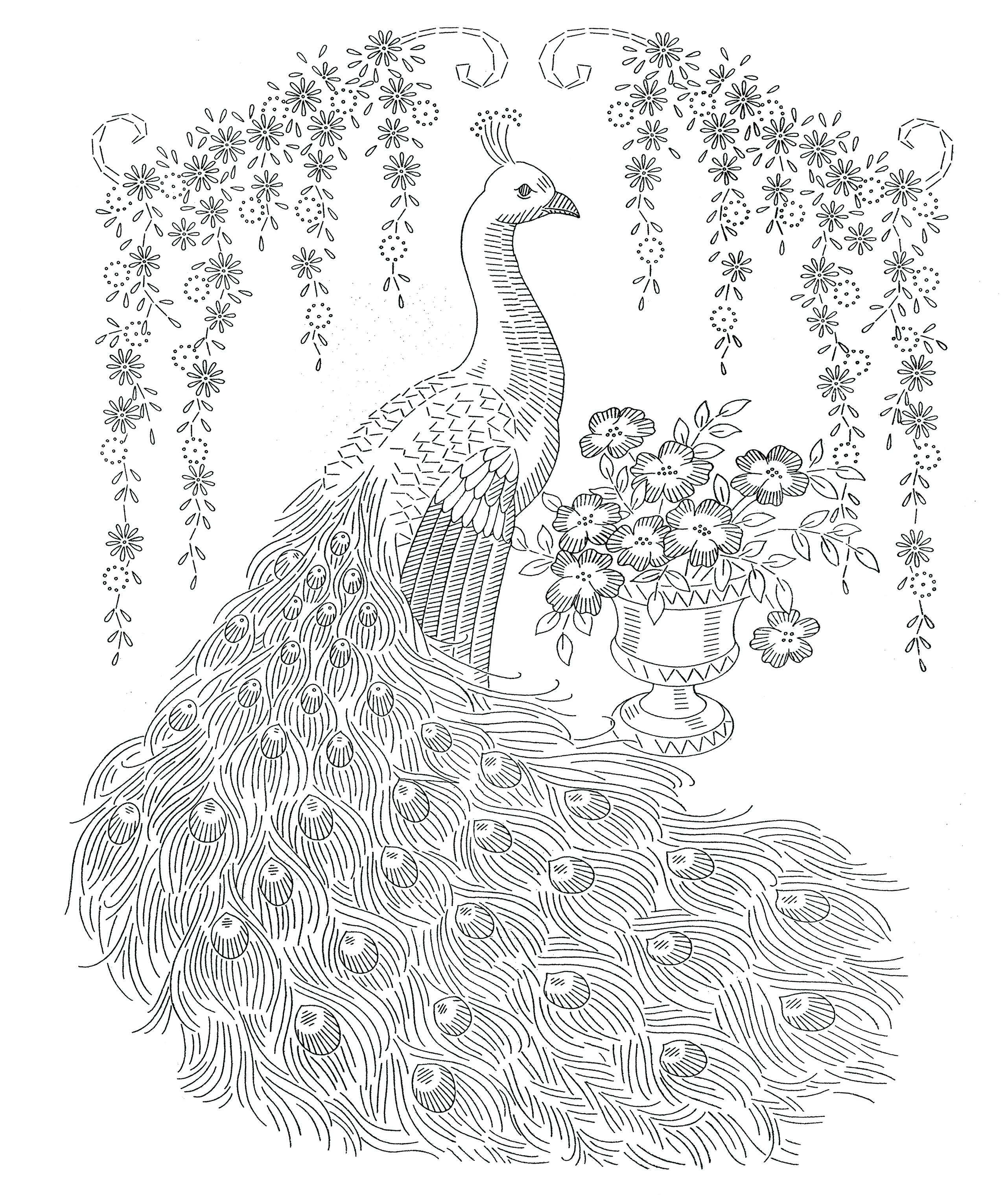 Peacock Embroidery Patterns Peacock Color Pages Fiestaprintco