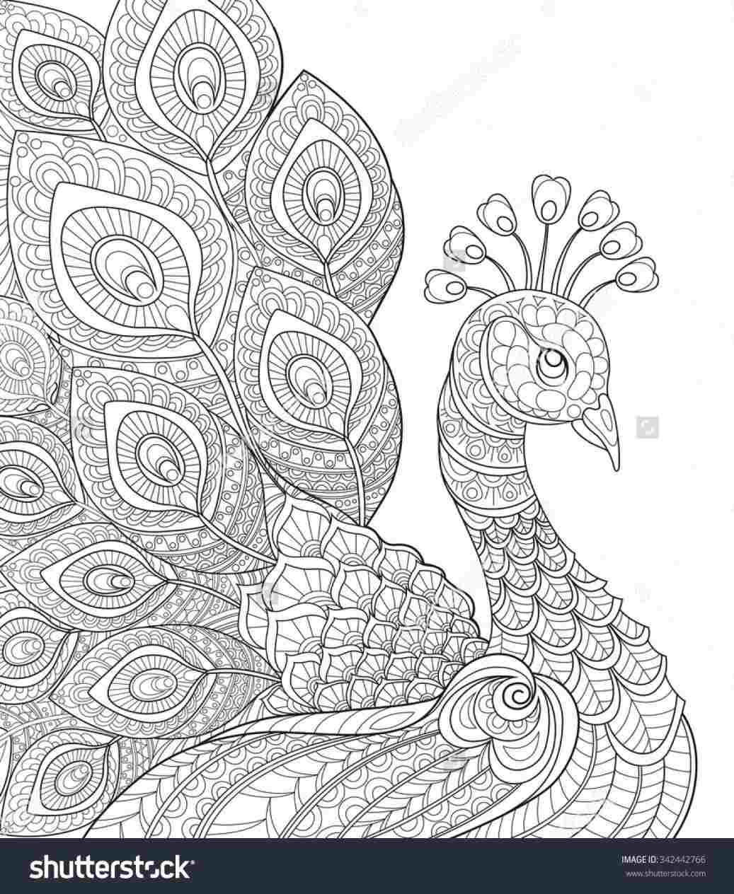 Peacock Embroidery Patterns Wheeler Embroidery Patterns Design Rhpinterestcom Laura Colouring