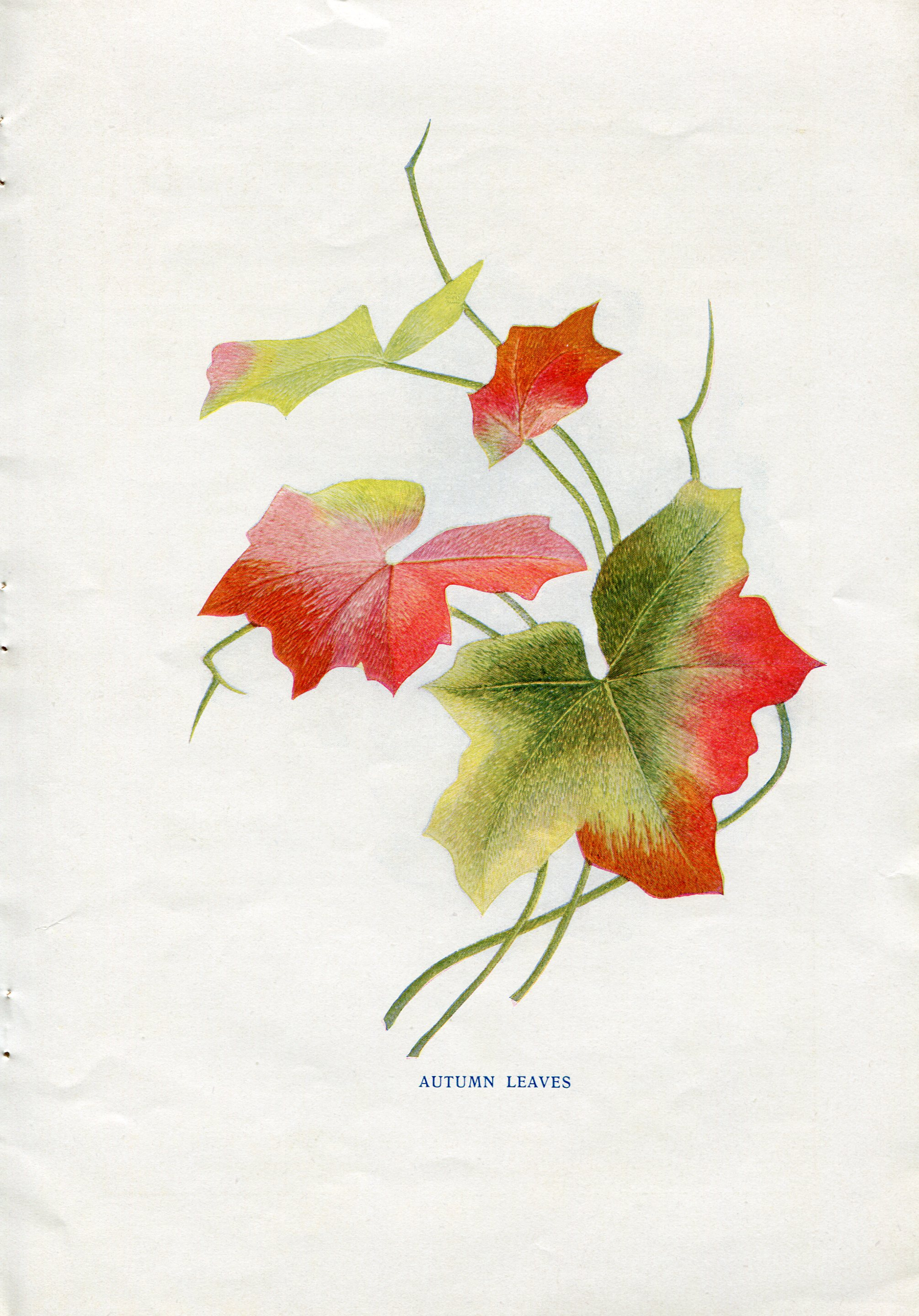Silk Embroidery Patterns Free Free Autumn Leaves Silk Hand Embroidery Pattern Vintage Crafts And