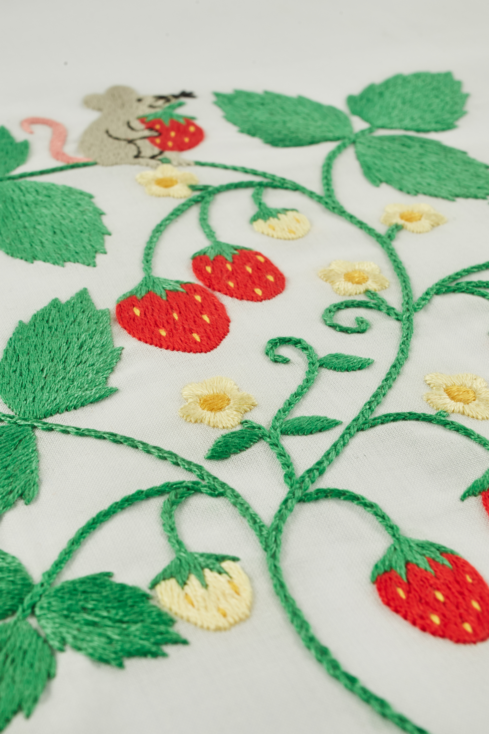 Strawberry Embroidery Pattern Mouse Pattern Intermediate Dmc