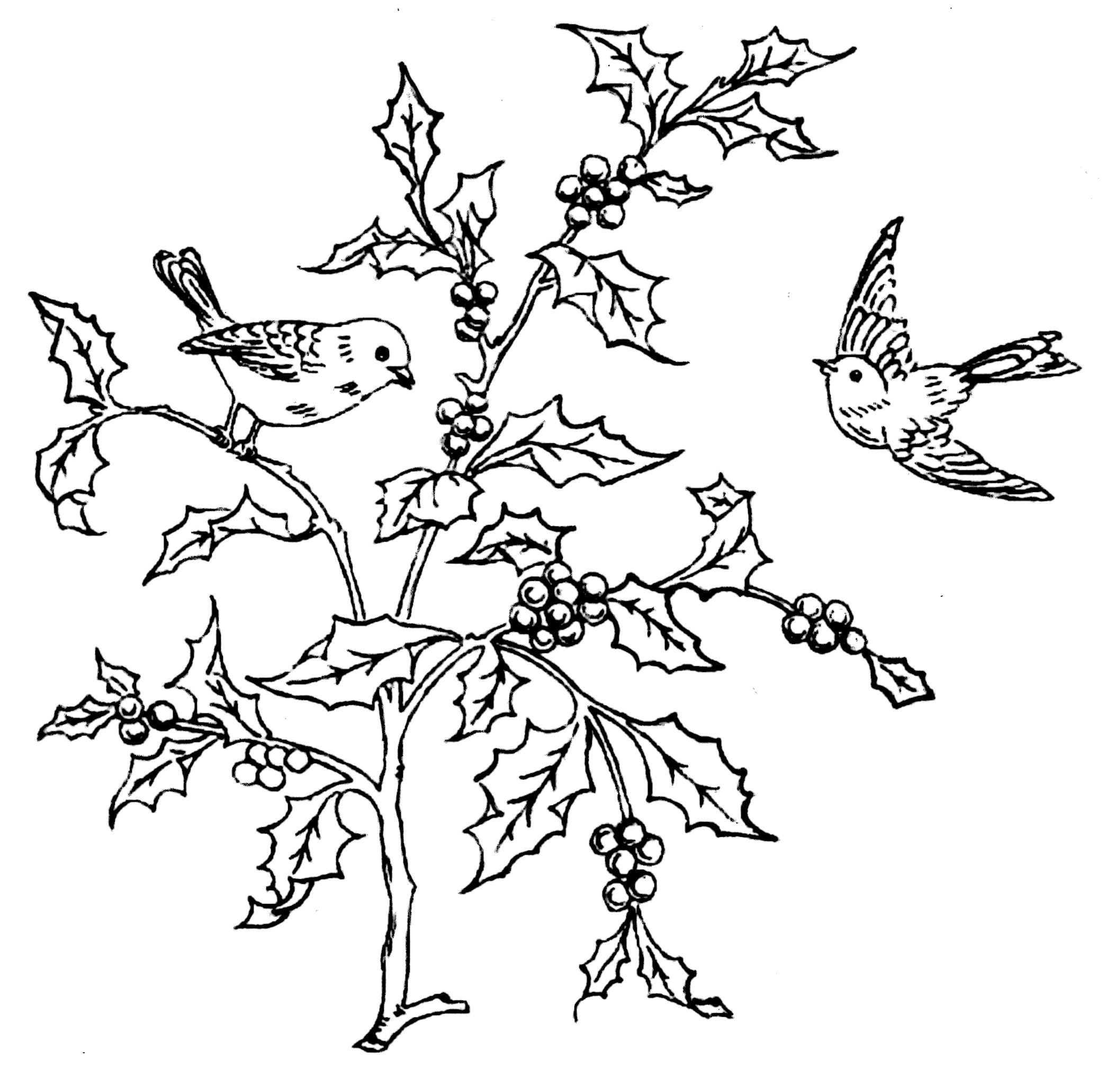 Transfer Embroidery Pattern Briggs Embroidery Transfer Pattern Birds And Holly Vintage Crafts